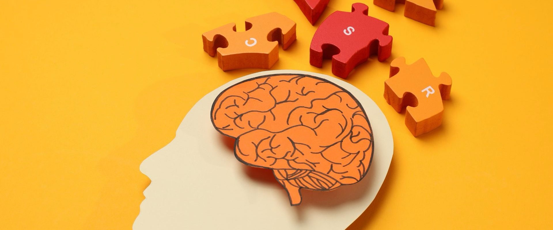 AI Memorization: Lời Nguyền hay Phúc Lành?