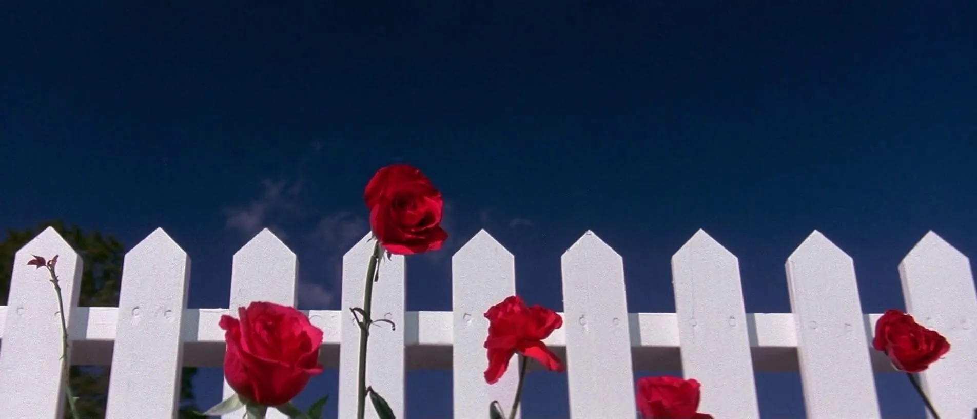 [Phần 2] Thuật ngữ AI Marketer Phải Biết